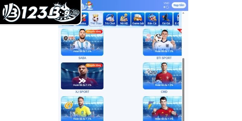 Thể thao nhiều giải đấu lớn